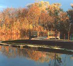 Pond in Pratt's Lemon Park