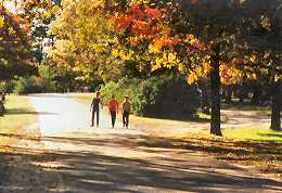 Taking a walk in the park in Pratt, Kansas